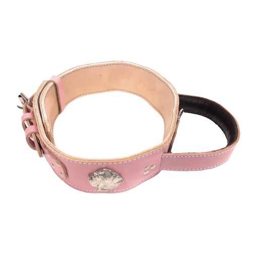 Baby Pink Collar for American Bulldog