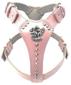Staffy Baby Pink Leather Dog Harness