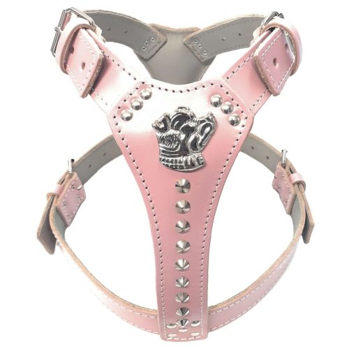 Staffy Baby Pink Leather Dog Harness