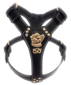 Staffy Black & Gold Leather Dog Harness