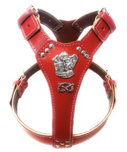 Staffy Red Leather Dog Harness