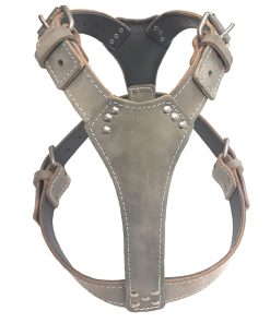 Staffy Simple Grey Leather Dog Harness