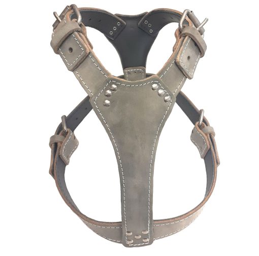 Staffy Simple Grey Leather Dog Harness