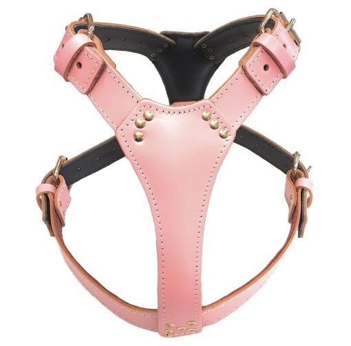 Staffy Simple Pink Leather Dog Harness