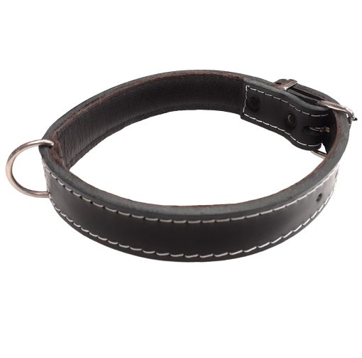 Black Plain Leather Dog Collar