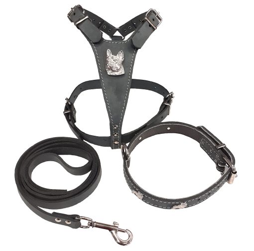 Leather Dog Harness Collar and Lead Set